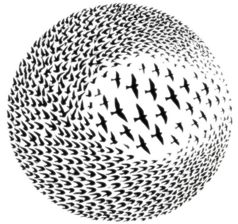 Emergence Mediation, LLC